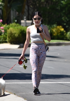 walkinginhollywood140520_034.jpg