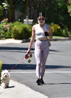 walkinginhollywood140520_035.jpg