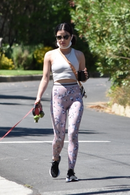 walkinginhollywood140520_036.jpg