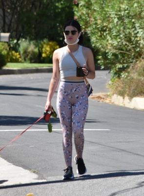 walkinginhollywood140520_037.jpg