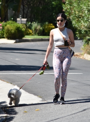 walkinginhollywood140520_039.jpg