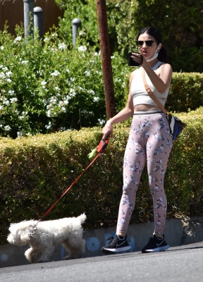 walkinginhollywood140520_040.jpg