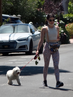 walkinginhollywood140520_041.jpg