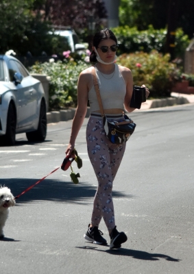 walkinginhollywood140520_042.jpg