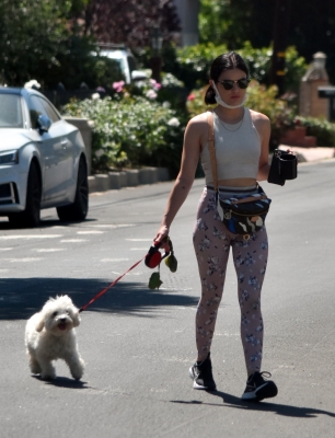 walkinginhollywood140520_043.jpg