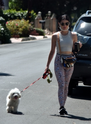 walkinginhollywood140520_045.jpg