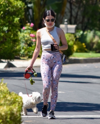 walkinginhollywood140520_066.jpg