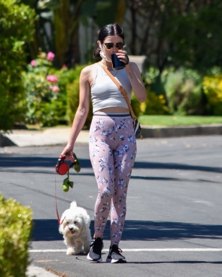 walkinginhollywood140520_067.jpg