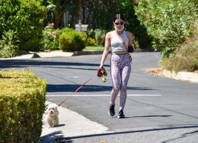 walkinginhollywood140520_069.jpg