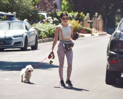 walkinginhollywood140520_074.jpg