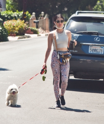 walkinginhollywood140520_075.jpg