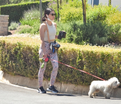 walkinginhollywood140520_076.jpg