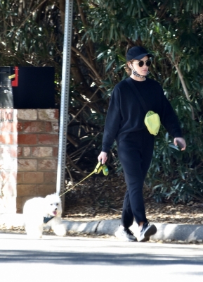 walkingla040221-003.jpg