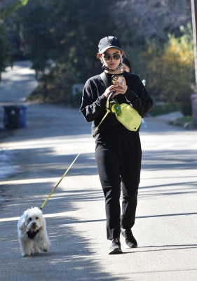 walkingla040221-007.jpg