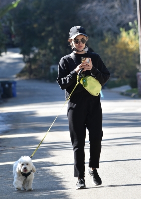 walkingla040221-008.jpg