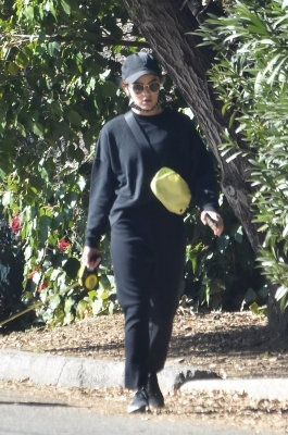 walkingla040221-015.jpg
