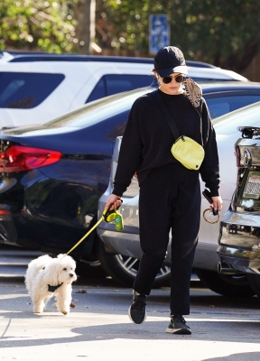 walkingla040221-025.jpg