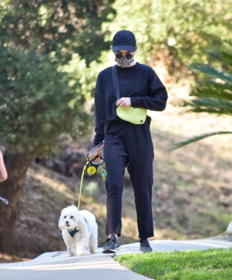 walkingla040221-029.jpg