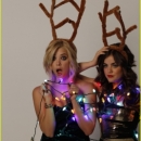 BongoHoliday2012-04.jpg