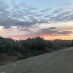 LHBR0727.jpg