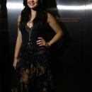 acm2013-009.jpg