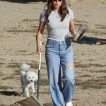 dogpark111023-001.jpg
