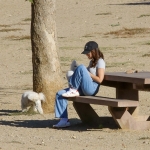 dogpark111023-014.jpg