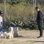 dogpark111023-018.jpg