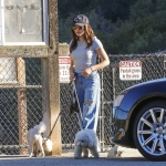 dogpark111023-021.jpg