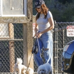 dogpark111023-022.jpg