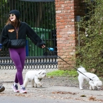 Filename=dogsla070123-001.JPG
Filesize=316KiB
Dimensions=1000x806
Date added=Jan 10, 2023 dogsla070123-001.JPG