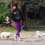 Filename=dogsla070123-002.JPG
Filesize=260KiB
Dimensions=1000x692
Date added=Jan 10, 2023 dogsla070123-002.JPG