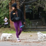 Filename=dogsla070123-004.JPG
Filesize=263KiB
Dimensions=1000x691
Date added=Jan 10, 2023 dogsla070123-004.JPG