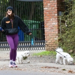 Filename=dogsla070123-005.JPG
Filesize=316KiB
Dimensions=1000x765
Date added=Jan 10, 2023 dogsla070123-005.JPG
