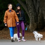 Filename=dogsla070123-006.JPG
Filesize=221KiB
Dimensions=1000x864
Date added=Jan 10, 2023 dogsla070123-006.JPG