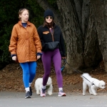 Filename=dogsla070123-007.JPG
Filesize=233KiB
Dimensions=1000x856
Date added=Jan 10, 2023 dogsla070123-007.JPG