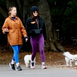 Filename=dogsla070123-008.JPG
Filesize=228KiB
Dimensions=1000x748
Date added=Jan 10, 2023 dogsla070123-008.JPG
