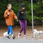 Filename=dogsla070123-009.JPG
Filesize=245KiB
Dimensions=1000x756
Date added=Jan 10, 2023 dogsla070123-009.JPG