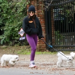 Filename=dogsla070123-010.JPG
Filesize=263KiB
Dimensions=1000x731
Date added=Jan 10, 2023 dogsla070123-010.JPG