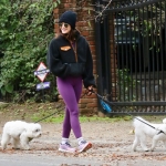 Filename=dogsla070123-011.JPG
Filesize=235KiB
Dimensions=1000x687
Date added=Jan 10, 2023 dogsla070123-011.JPG