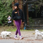 Filename=dogsla070123-012.JPG
Filesize=264KiB
Dimensions=1000x687
Date added=Jan 10, 2023 dogsla070123-012.JPG