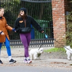 Filename=dogsla070123-013.JPG
Filesize=262KiB
Dimensions=1000x609
Date added=Jan 10, 2023 dogsla070123-013.JPG