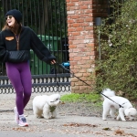 Filename=dogsla070123-014.JPG
Filesize=306KiB
Dimensions=1000x767
Date added=Jan 10, 2023 dogsla070123-014.JPG