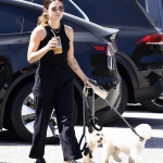 dogsla230423-007.jpg