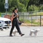 dogsla230423-017.jpg