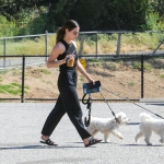dogsla230423-022.jpg