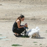 dogsla230423-033.jpg