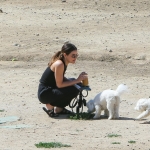 dogsla230423-035.jpg