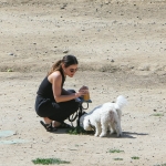 dogsla230423-036.jpg
