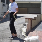 Filename=oala190719-011.jpg
Filesize=1466KiB
Dimensions=2200x3300
Date added=Jul 19, 2019 oala190719-011.jpg